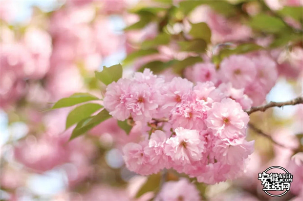 BC贷·(中国区)官方网站