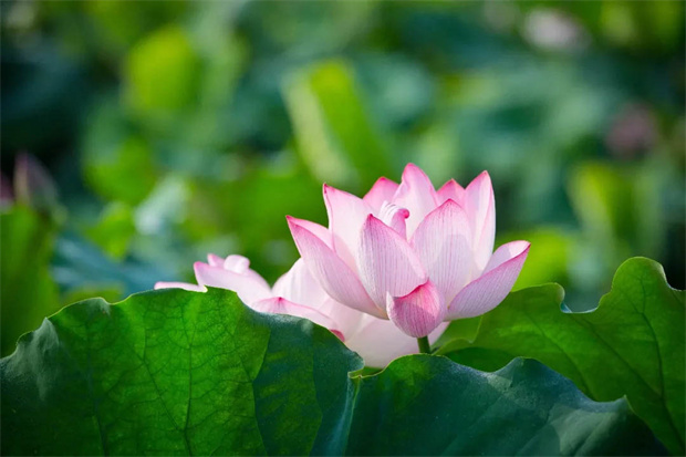 BC贷·(中国区)官方网站