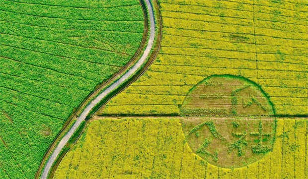 BC贷·(中国区)官方网站