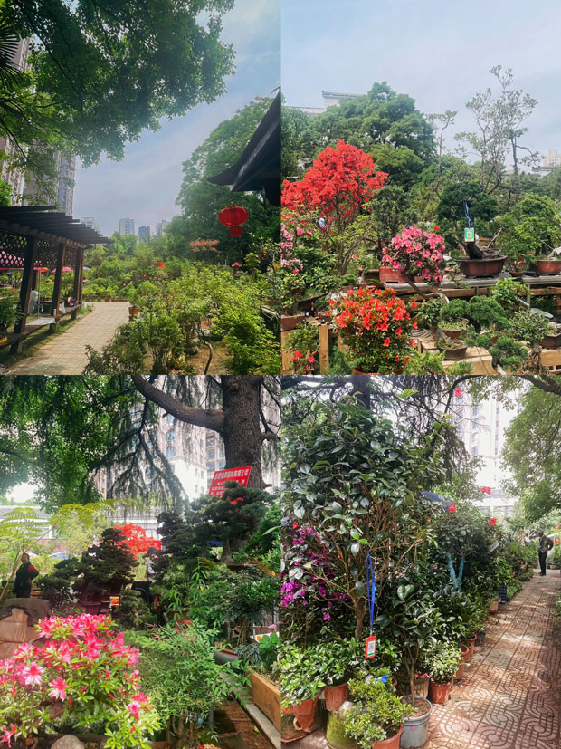 BC贷·(中国区)官方网站