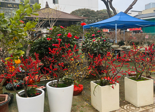 BC贷·(中国区)官方网站