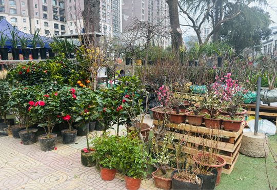 BC贷·(中国区)官方网站