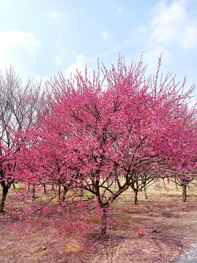 BC贷·(中国区)官方网站
