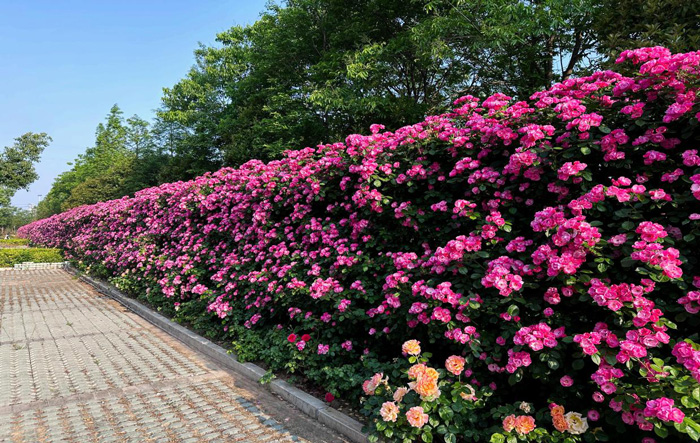 BC贷·(中国区)官方网站